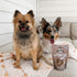 Coco Crush Organic Dog Treats, Organic Dog Treats Made with Peanut Butter and Coconut, 6 oz Bag