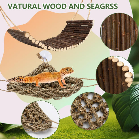6 PETKNOWS Hermit Crab Accessories, Pieces Hermit Crab Climbing Toys Coconut Shell Hut with Moss Ladder and Natural