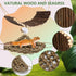 6 PETKNOWS Hermit Crab Accessories, Pieces Hermit Crab Climbing Toys Coconut Shell Hut with Moss Ladder and Natural