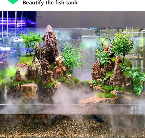Seiryu Rock Stone - 2-6 inches for Aquariums, Landscaping Model, Tank Decoration (10lb)