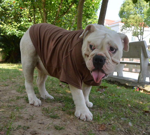 Lovelonglong 100% Cotton Bulldog Clothes Blank T-Shirt for French Bulldog, English Bulldog, American Pit Bull, Pugs