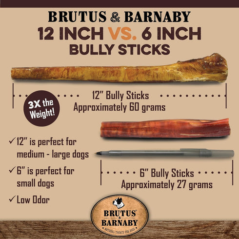 BRUTUS & BARNABY Bully Sticks for Large Dogs - (5-Pack) Grain Free, Low Odor, 12" Bully Bones