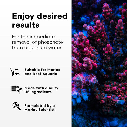Brightwell Aquatics Phosphat-E, Liquid Phosphate Remover for Marine Fish and Reef Aquarium, 500-ml