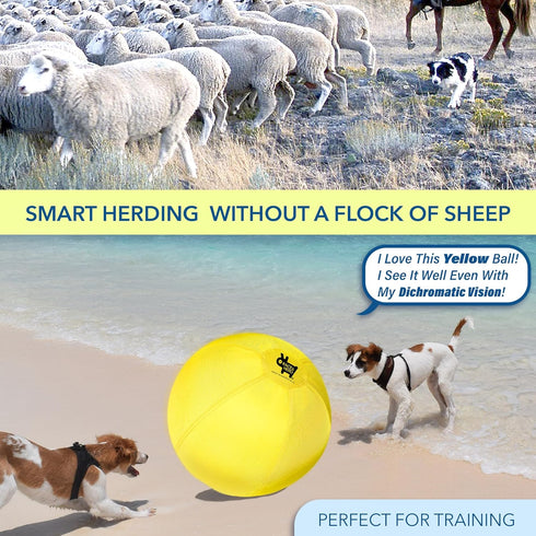 Race&Herd Herding Ball for Dogs, 18" Replacement Cover ONLY for Small & Puppies, Herding Balls for Cattle Dogs