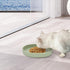 Cat Bowls Silicone Dog Bowls, Non-Slip 10 OZ Pet Bowl for Dry & Wet Food, Green 2pcs for Small Pets