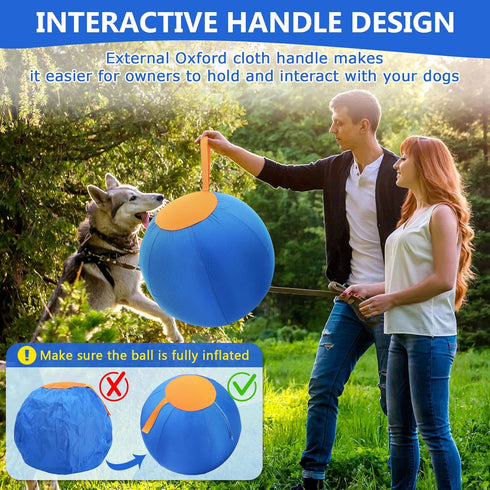 LaRandom 2 Set 17 Inch Herding Ball for Dogs, Dog Herding Ball with Oxford Cloth Cover Pump Tool Agility Training