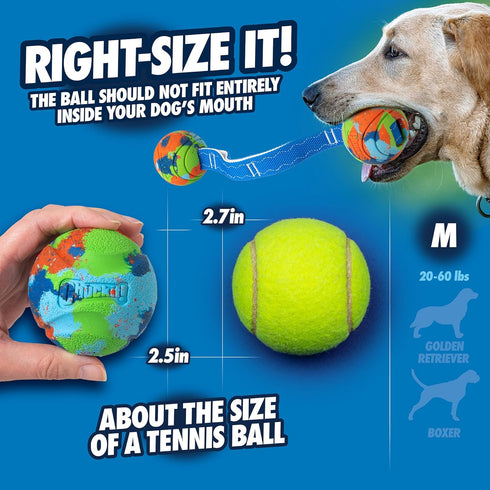 (2.5 Inch Pack 3, 20-60 lbs Chuckit! Limited Edition EcoFetch Ball Dog Toy, Medium Diameter) of for Breeds