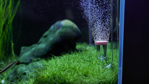 LANDEN AERVITA CO2 Diffuser Kits, Nano-Sized Ceramic Diffusing Disc, Professional Aquarium CO2 for Tanks Over 50gal