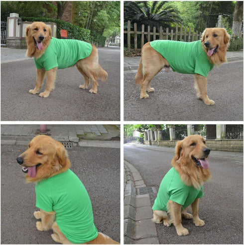 Lovelonglong Pet Clothing - Dog Costumes Basic Blank T-Shirt Tee Shirts for Large Dogs, Green XXXXL