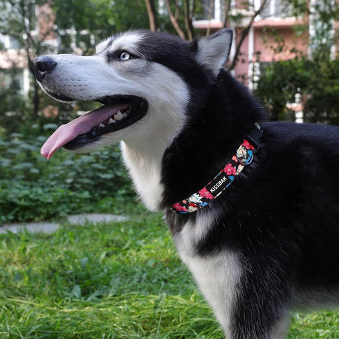 KISSBAK Dog Collar for Large Dogs, Soft Adjustable Fancy Floral Collar for Girl Puppy (L, Floral Spring)
