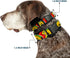 Buckle-Down Plastic Clip Collar - Taco Man - 1" Wide, Fits 11-17" Neck - Medium