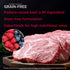 Diamond Naturals Grain Free Real Meat Recipe Premium Dry Dog Food with Real Pasture Raised Beef, 5 lb