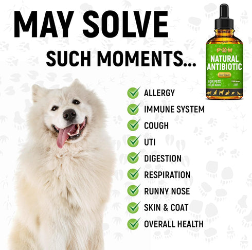 Natural Antibiotic for Cats and Dogs | 2 Oz Beef Dietary Supplement | Cat and Dog Antibiotics
