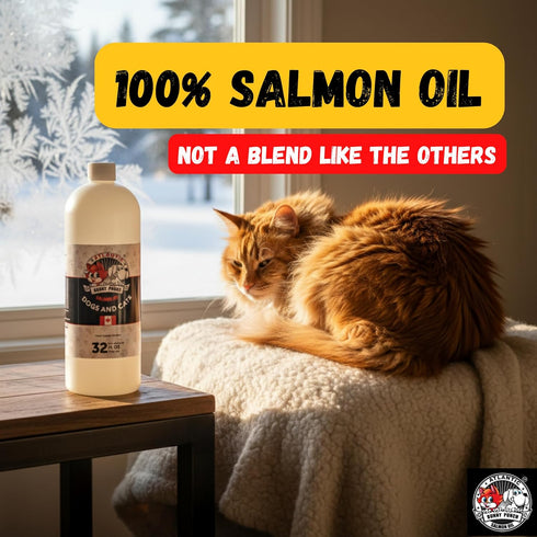 BUNNY PUNCH SINCE 1990 32 oz Bunny Punch Pure Atlantic Salmon Oil for Dogs & Cats - Liquid Food Topper
