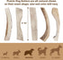 Prairie Dog Moose Antler Chew, Naturally Shed, Hand Harvested in North America, X-Large