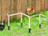Neeenn Large Chicken Perch Toy for Coop, Wooden Chick Perch Stand with Metal Ground Plug, Chicken Coop Backyard Poultry