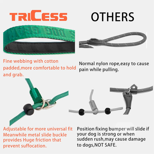 Dog Slip Lead - 5FT Fine Webbing Training Leash, Heavy Duty & Durable, Easy-Control for All Dogs (Green)