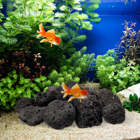 1 Set of Large Black Lava Rocks - Aquarium Volcanic Stones, 200g Decorative Pebbles for Fish Tank & Bonsai