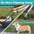 PetBonus Dog Leash Wrist Strap, Lockable Reflective Short Lead with Adjustable Soft Padded Handle for Walking, Blue