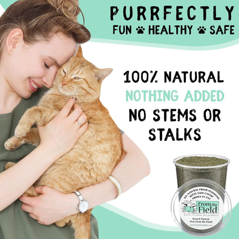 from The Field Fine Ground Stalkless Catnip, Premium USA-Grown, 6 oz Resealable Tub, Non-Toxic