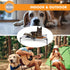 K&H Pet Products Dog Cots Beds for Large Dogs - Elevated Outdoor Dog Cot Bed, Washable, X-Large, Taupe/Black Mesh