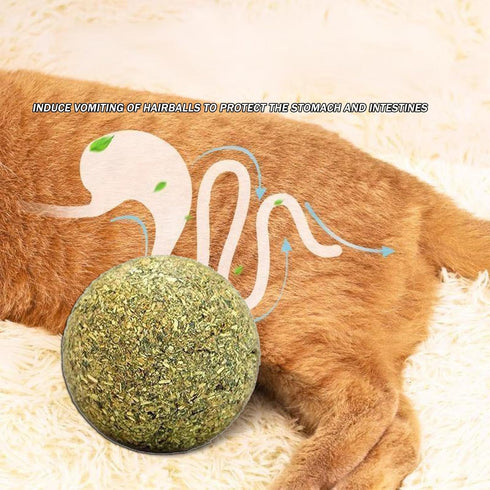 happylain 2 inches Diameter Catnip Ball - Catnip Balls for Cats, Interactive Cat Toy for Indoor Cats, Cat Nip Licking