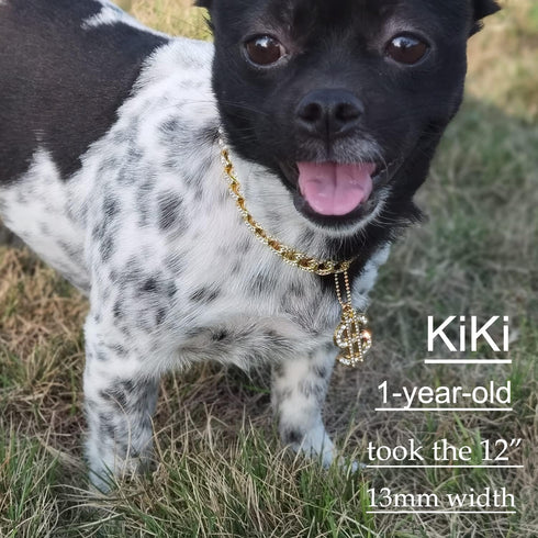 Gold Dog Collar 14mm/20mm Cat Puppy Chain Zircon Cuban Link Handmade Iced out Diamond Pendant Full Cz Prong Set Jewelry