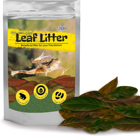 JOR Mahogany Leaves | Vivarium Leaf Litter for Frogs | Maintains Humidity and pH Levels, 50 Pack, 2” Small
