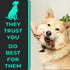 H&H Pets Dog Toothbrush Dual Headed Design for Small & Large Dogs, Available in 4 or 8 Counts Pack