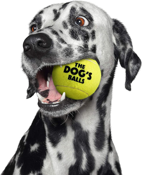 The Big Dog's Balls, Dog Tennis Balls, 3-Pack Yellow, 3 Inch Diameter for Training, Play, Exercise & Fetch