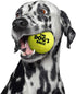 The Big Dog's Balls, Dog Tennis Balls, 3-Pack Yellow, 3 Inch Diameter for Training, Play, Exercise & Fetch