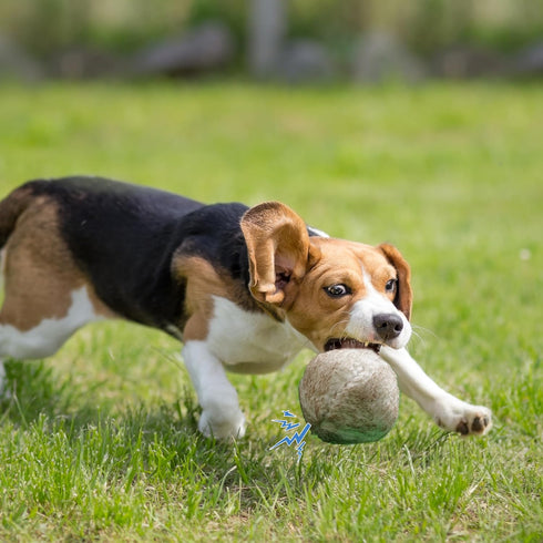 Nocciola Wobble Giggle Ball for Dogs, Interactive Squeaky Ball Toy for Small Medium Large Dogs, Fun Giggle Sounds