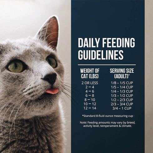 Fussie Cat Market Fresh Salmon Meal Formula, Grain-Free Dry Cat Food, 2 lb