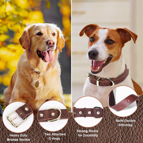 Guiding Star 5ft Leather Dog Leash and Collar Set, Soft Braided Leather Leash with Adjustable Collar for Small Medium