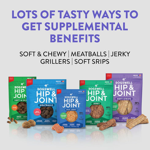 842190 10 Oz DOGSWELL Hip & Joint Beef Jerky Pet Food