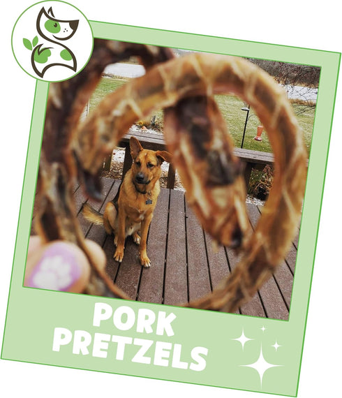 Nature Gnaws Pork Bully Stick Pretzels for Dogs - 4-5" (15 Count) - Natural Bacon Chew Treats