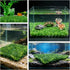 baudliglin 3PCS 9 inches 12 Hermit Crab Climbing Wall Fish Tank Decorations Artificial Plastic Lawn Landscape Green