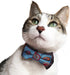 Blueberry Pet Gift Box with 2 Handmade Dog Cat Bow Tie, Paisley Designer Bowtie Set, 4" x 2.5"