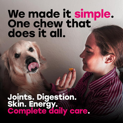 24-in-1 Dog Multivitamin Chews Dog Vitamins and Supplements with Glucosamine, Chondroitin, Probiotics, Salmon Oil