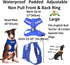 Training Dog Harness (L) - Blue Colour Coded Non-Pull Front and Back D Ring, Padded and Waterproof