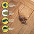 OurPets Play-N-Squeak Mouse Hunter Cat Toys (Interactive Cat Toy & Catnip Toy with Real Mouse Electronic Sound) Perfect