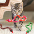 CiyvoLyeen Interactive Catnip Toys - Set of 3 Snake Cat Toy for Indoor Cats, Novelty Gift for Cat Lovers