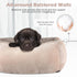INVENHO Medium Dog Bed - Rectangle Washable Bed for Large Medium Small Dogs, Orthopedic Soft Calming Sleeping Puppy