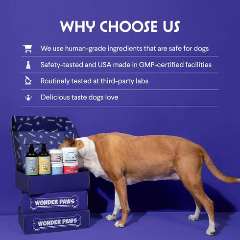 Q10 90 Wonder Paws Cardio Support for Dogs Cardiovascular Chews Heart Health, Circulation, Energy & Weight Management