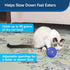 Petstages Nina Ottosson Rainy Day Cat Puzzle & Play + PetSafe SlimCat Food Dispenser