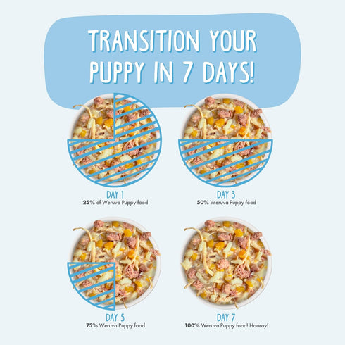 6oz Pack 8 Weruva Puppy, Beef and Rice Formula in Gravy, Can