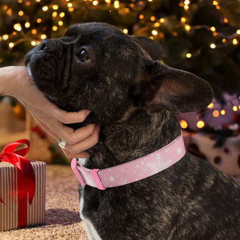 Pawtitas Soft Adjustable Puppy Collar, Personalized Customizable Dog Collar with Embroidered Pet Name, Pink Snowflakes