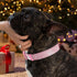 Pawtitas Soft Adjustable Puppy Collar, Personalized Customizable Dog Collar with Embroidered Pet Name, Pink Snowflakes