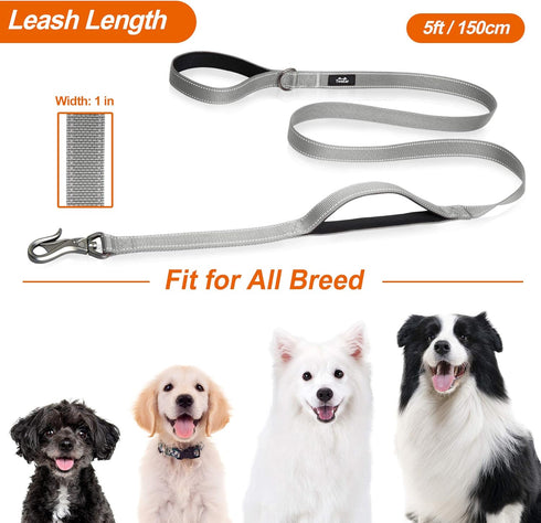 TwoEar 5FT 1IN Strong Gray Dog Leash - 2 Padded Handles, Traffic Handle for Extra Control, Reflective Walking Lead