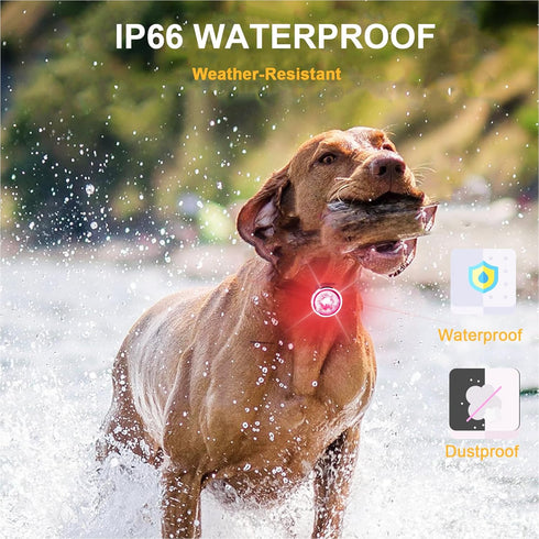 2-Pack Dog Lights for Night Walking, Upgraded Rechargeable Clip-On Collar Lights, IP66 Waterproof